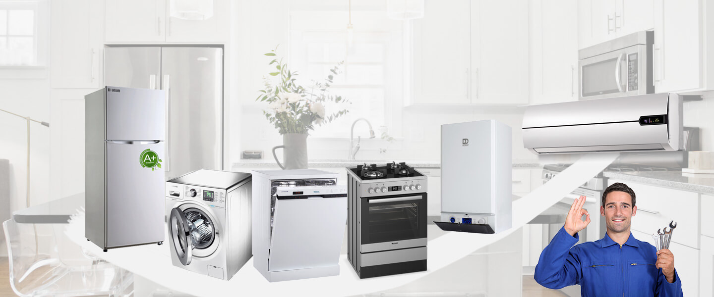 Arpaçay Gorenje Servisi
